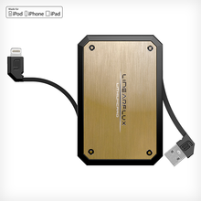 Load image into Gallery viewer, LithiumCard PRO — with Apple Lightning connector