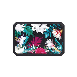 Paradise LithiumCard PRO — with Apple Lightning connector