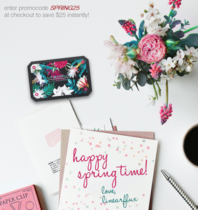 Paradise LithiumCard PRO — with Apple Lightning connector